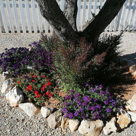 Il Patio Alghero Santa Maria la Palma Eksteriør bilde